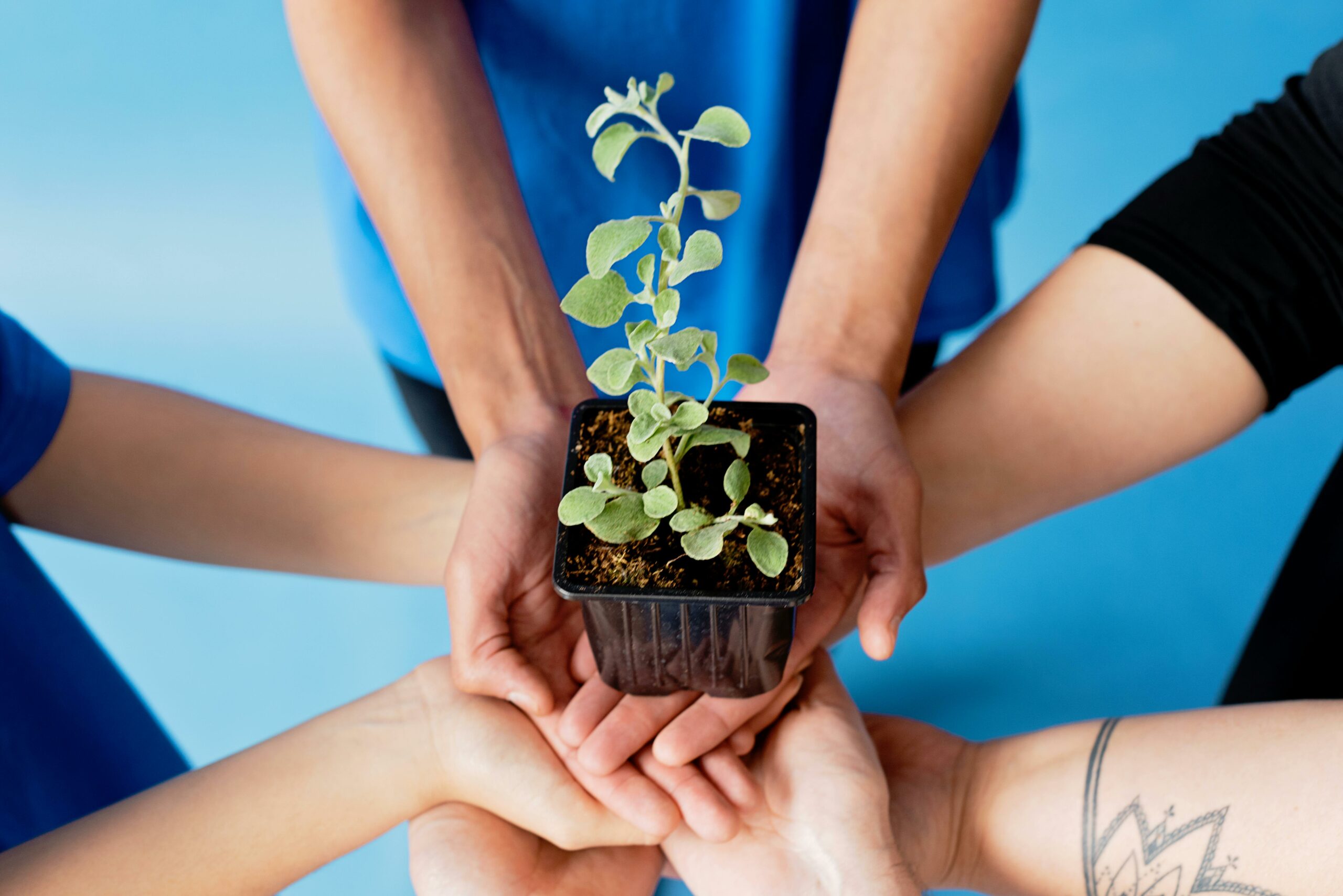 Talleres de educación ambiental