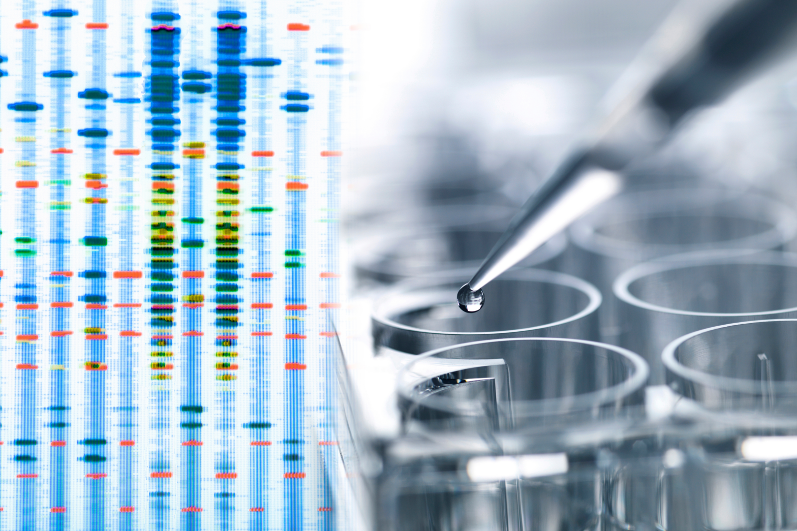 ¿Conoces las diferencias entre Ingeniería Biomédica y Biotecnología?